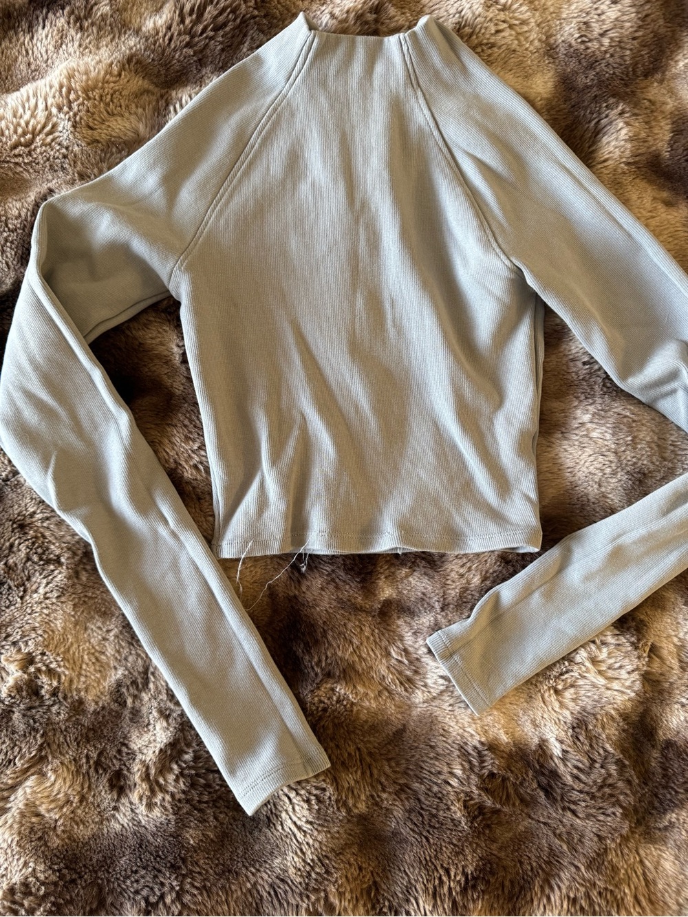 Zara Cropped Long-Sleeve Top in Light Sage Green